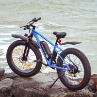 Запчастини на електрофетбайк Skybike Calcutta